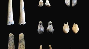 Bone points and pierced teeth sampled for radiocarbon dating.