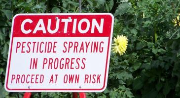 Sign that says: Caution: Pesticide spraying in progress. Proceed at own risk