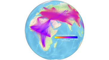 Global visualization of inferred human ancestral lineages