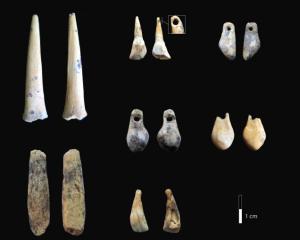 Bone points and pierced teeth sampled for radiocarbon dating.