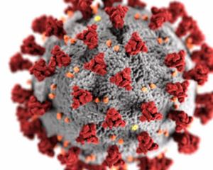 Micro view of coronavirus 