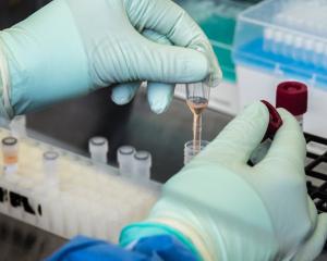 Hands of CDC scientist as they prepare to test a patient’s sample for SARS-CoV-2