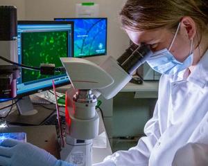 Graduate research assistant Kate Crawford conducts research in the Bloom Lab at Fred Hutch, which pivoted to COVID-19 research since the pandemic swept into Washington state in early 2020.