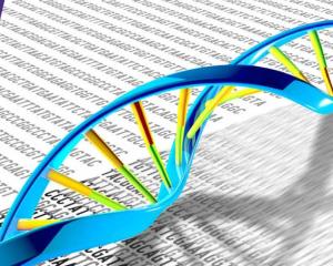 Extreme close up genome