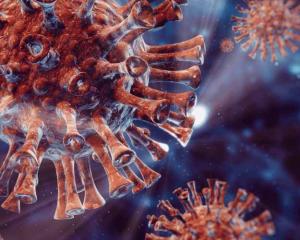 Close up of coronavirus