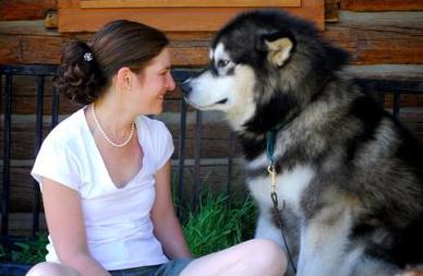 Woman with husky dog